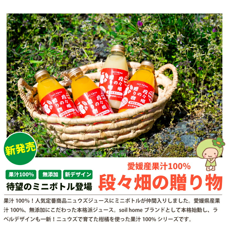小瓶ジュース3種（温州みかん・清見・デコ）8本(200ml×8本) 愛媛県産果汁100％無添加 soil home 皮ごと丸搾り 段々畑の贈り物 はるか デコしらぬい 清見タンゴール 温州みかん ニュウズ 新デザイン ギフト