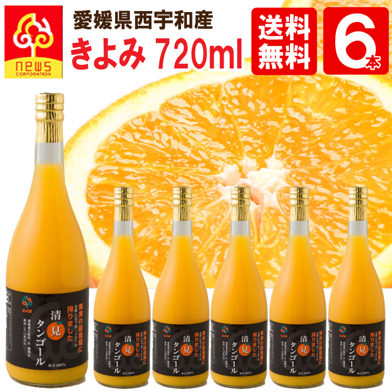 お歳暮 キャプテン 大人のメロンソーダのもと 200ml 中村商店 notimundo.com.ec