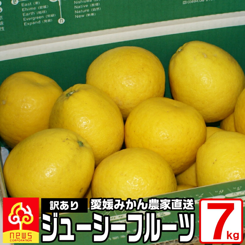 楽天市場 訳あり 河内晩柑 ジューシーフルーツ 7kg 国産 愛媛産 無添加 南の果樹園 ニュウズ みかん専門店 南の果樹園ニュウズ