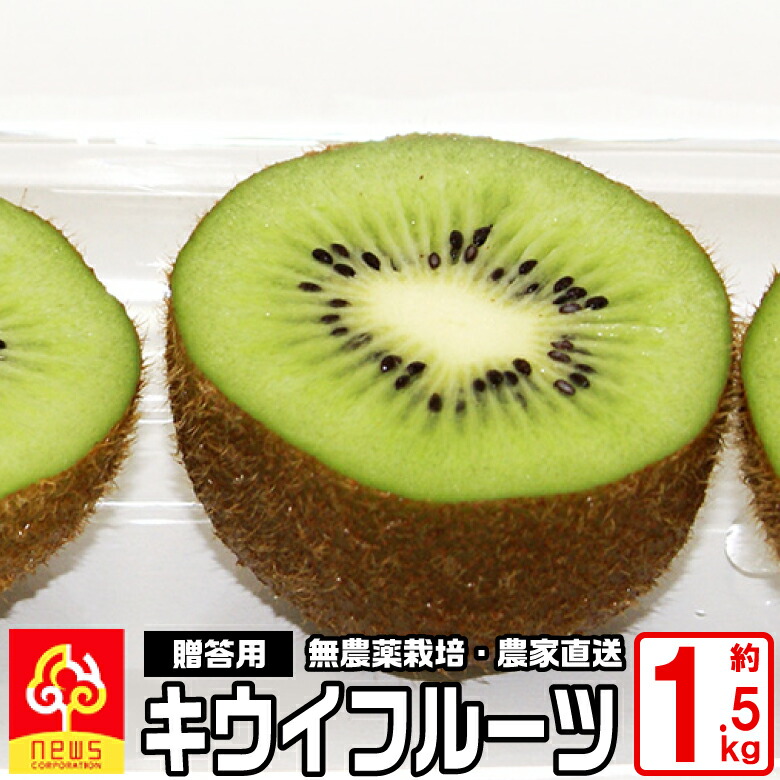 楽天市場 愛媛産 キウイフルーツ 約1 5kg S又はm 15 玉 オーガニック 無農薬栽培 ヘイワード自家生産 みかん専門店 南の果樹園 ニュウズ 西宇和 みかん専門店 南の果樹園ニュウズ