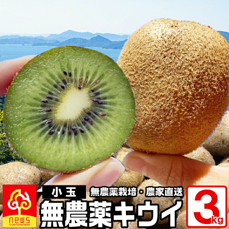 くうたん　芯が甘い！【二級品】和歌山県産キウイフルーツ 2L 24個入2箱 楽天市場】【小玉】愛媛産 キウイ フルーツ 5kg 混合サイズ