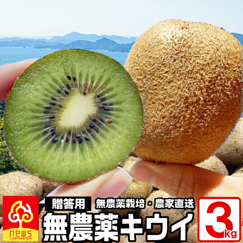 とみー様・お得意様ご予約分加工用キュウイフルーツ20キロ とみー様