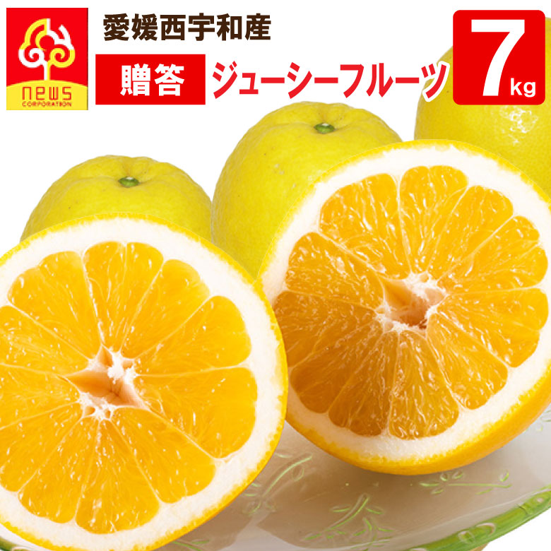 【送料無料】河内晩柑 贈答用 7kg 愛媛 夏文旦 ジューシーフルーツ 美生柑 文旦 和製グレープフルーツ 蜜柑 ミカン みかん グルメ お取り寄せ 愛媛県 産地直送 柑橘類 フルーツ ギフト 愛媛産 愛媛県産 果実 お取り寄せグルメ かんきつ 愛媛みかん 西宇和
