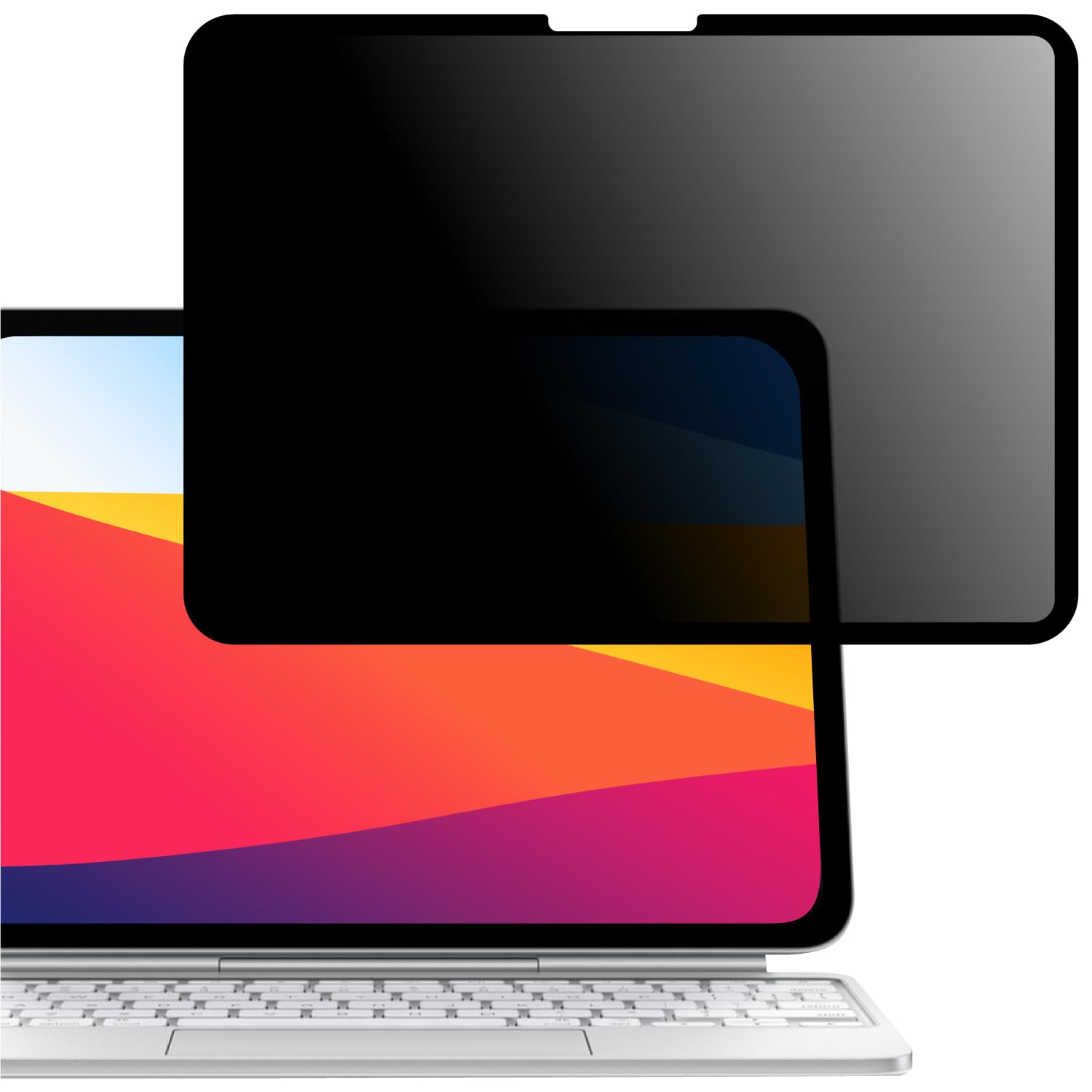 LOE(ロエ) 360度 ナノサクション式 覗き見防止フィルム iPad Pro 11インチ (M4, 2024) プライバシーフィルター 保護フィルム