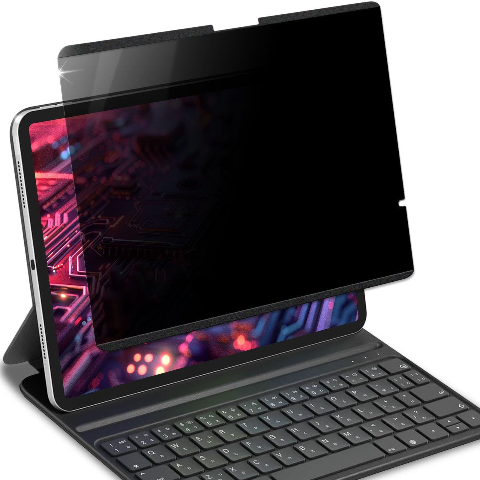 Lifeinnotech iPad air 11インチ M2 2024年用 のぞき見防止 マグネット式 のぞき見防止 プライバシーフィルター 保護フィルム ブルーライトカット