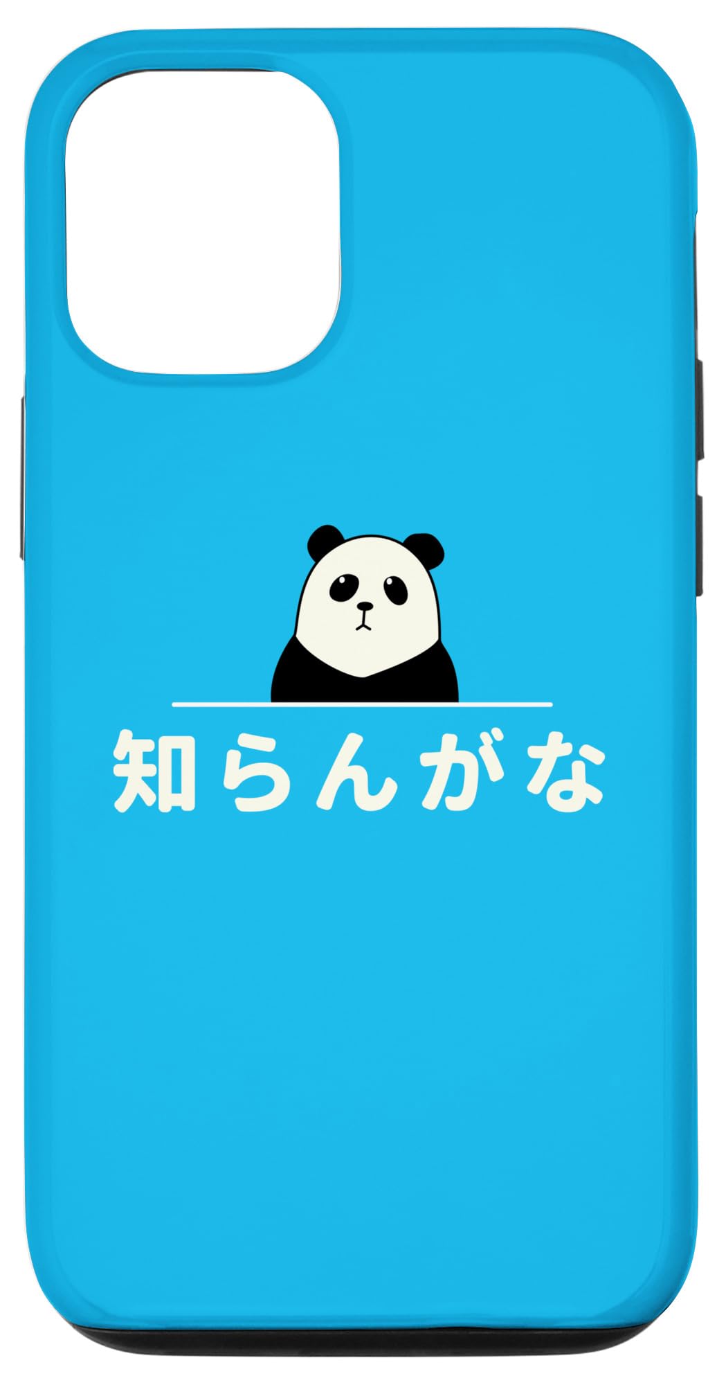 iPhone 15 面白い 「知らんがな」おもしろギャグ-ジョーク 漢字 知らんがな 文字入り スマホケース