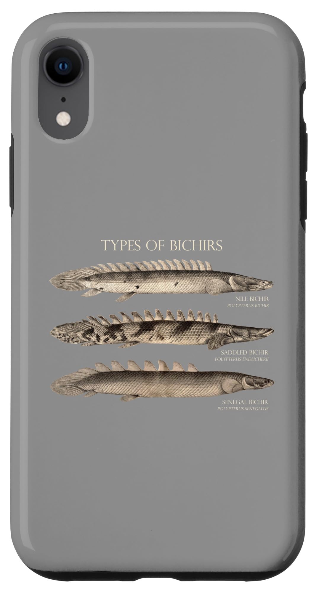 iPhone XR Polypterus Bichir ポリプテルスタイプ水族館フィッシュモンスターフィッシュキーパーアクアリストギフト スマホケース