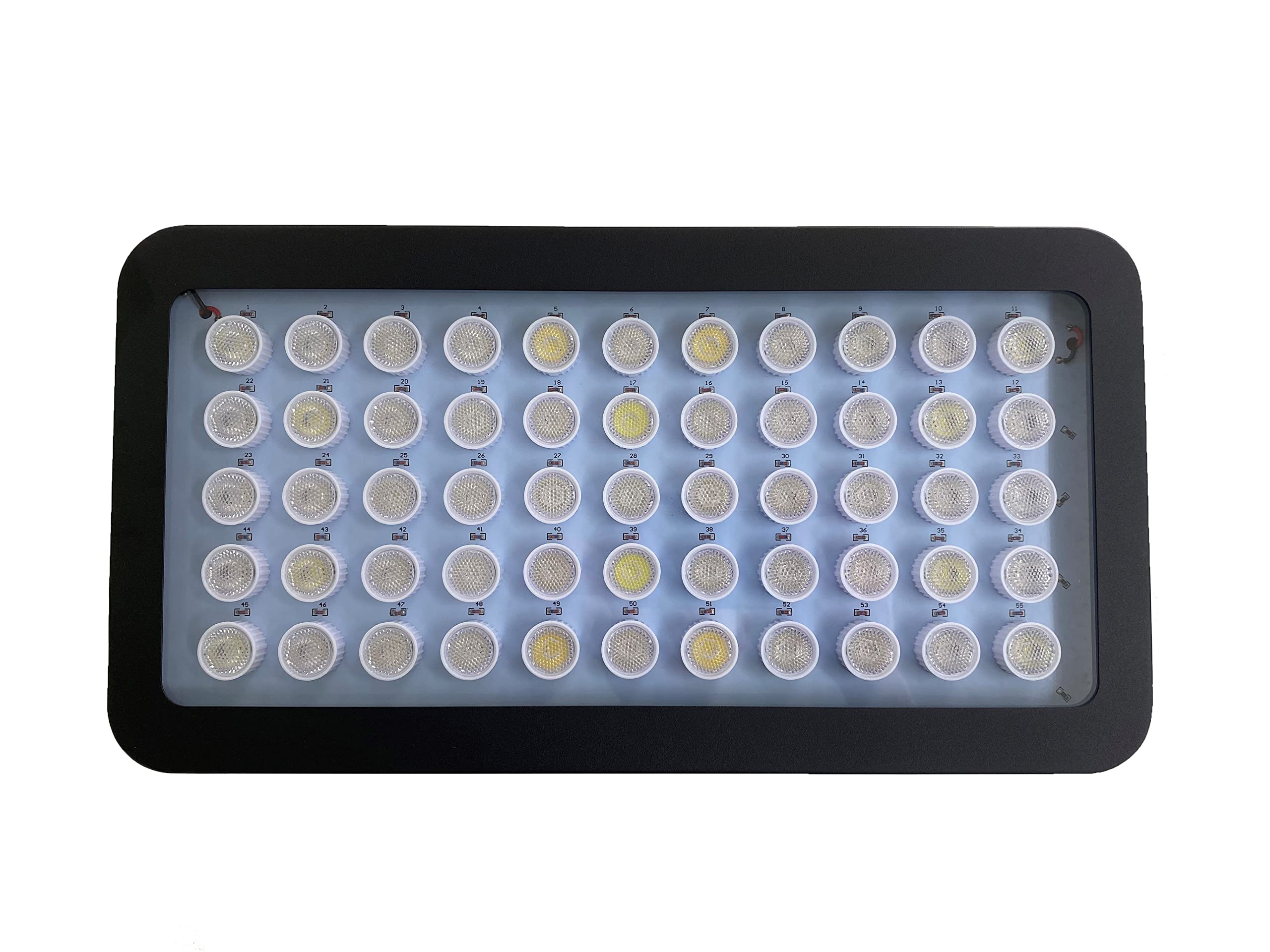 楽天市場】【新商品】 ZOOX リーフウルトラ LED照明 60~90cm水槽用