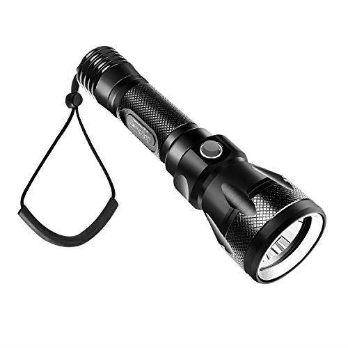 最先端 Bluefire 水中懐中電灯 Cree Xm L2 高輝度ledダイビング ライト Ipx8強力防水 100m水中ダイバーライト 電池対応 10ルーメン 防災 防犯 地震対策 アウトドア Wes Storew 最安値挑戦 Sinepulse Com