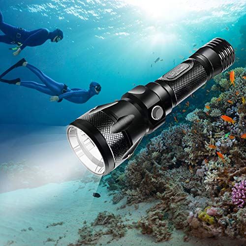 最先端 Bluefire 水中懐中電灯 Cree Xm L2 高輝度ledダイビング ライト Ipx8強力防水 100m水中ダイバーライト 電池対応 10ルーメン 防災 防犯 地震対策 アウトドア Wes Storew 最安値挑戦 Sinepulse Com