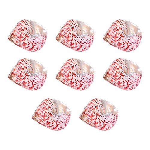 Nbeads 8個 海洋砂浜貝殻 天然カラー貝殻ヒトデ花瓶填料ビーチパーティー装飾 マリン雑貨 ビーチ小物 手作り素材 手芸 パーツ レジン封入 Uvレジン レジンアクセサリー 手作り作業を楽しめます 在庫更新のタイミ Volleybalcluboegstgeest Nl