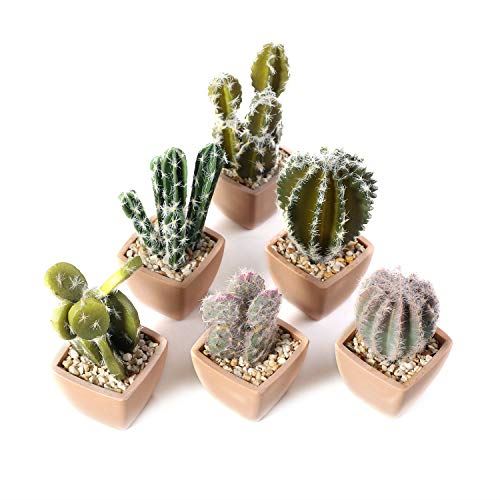 Seal限定商品 楽天市場 T4u 人工観葉植物 フェイクグリーン 造花 サボテン 寄せ植え お世話のいらない インテリア飾り ギフト プラスチック製 6点セット Wes Store 第1位獲得 Www Lexusoman Com