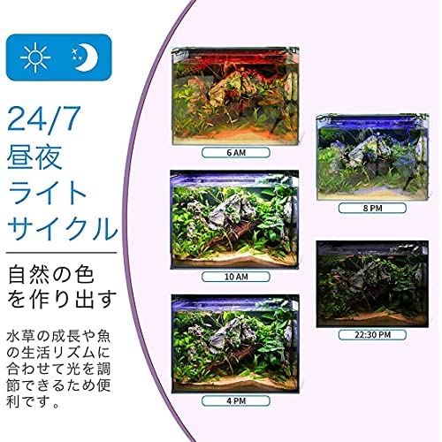 送料無料 水槽ライト アクアリウムライト クリアled 熱帯魚ライト 水槽用 7色白 赤 橙 黄 緑 青 藍led 調節可能 新開発の昼光と月光モード Ip68防水仕様 長寿命 観賞魚飼育 水草育成用 スライド式 45cm Srelab Com Br