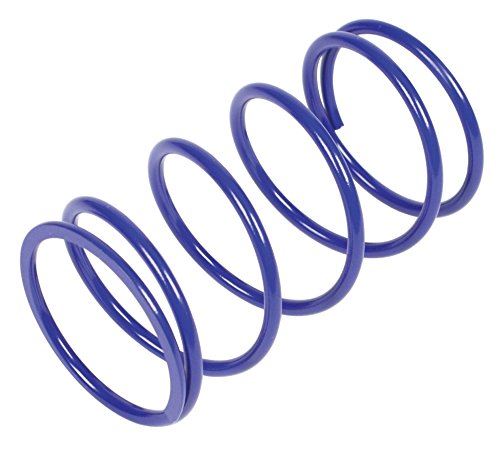 スペシャルパーツ武川 強化クラッチセンタースプリング ブルー シグナスX SR(SEA5J・BF91)/シグナスX(2UB1) 02-01-7018 5,191円