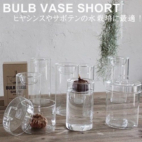 楽天市場 Bulb Vase Short バルブベースショート スパイス Spice Kegy4060 グリーン ガーデン フラワーベース 球根 水栽培 ガラス サボテン 水耕栽培 水栽培 多肉植物 Z Westream ウエストリーム