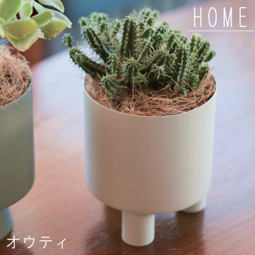 楽天市場 Home オウティシリーズ バージ Farm 植木鉢 鉢 サボテン 観葉植物 ナチュラル 栽培 日本製 グリーン 植物 底穴なし植木鉢 和風 飾り 置き物 ガーデン うえきばち Westream ウエストリーム