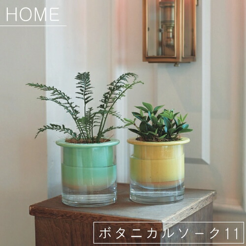 楽天市場 Home ボタニカルソーク11 バージ Farm 植木鉢 鉢 サボテン 観葉植物 ナチュラル 栽培 日本製 グリーン 植物 底穴なし植木鉢 モダン ガラス鉢 飾り 置き物 ガーデン Z Westream ウエストリーム