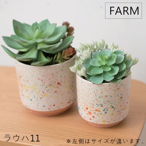 楽天市場 Farm ラウハ11 バージ Farm 植木鉢 鉢 サボテン 観葉植物 ナチュラル 栽培 日本製 グリーン お洒落 植物 底穴なし植木鉢 モダン 飾り 置き物 ガーデン Z Westream ウエストリーム