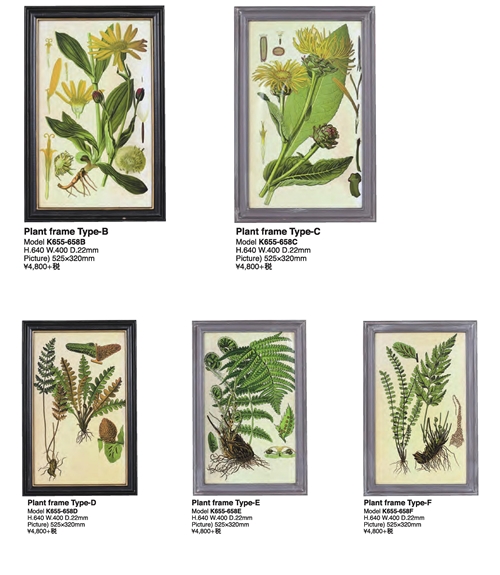 PLANT FRAME プラントフレーム [TypeB〜TypeF]【ダルトン DULTON】ボタニカル アート 植物画 芸術 生き物 観葉植物 額装