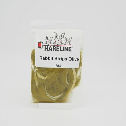 楽天市場】【◇】常吉 スリップミノー100 ベタ 琵琶湖スペック