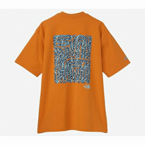 【日本正規品 13時まで当日出荷】S/S LAYBACK Tribal Tee THE NORTH FACE（ザ・ノースフェイス）ショートスリーブレイバックトライバルティー（ユニセックス）