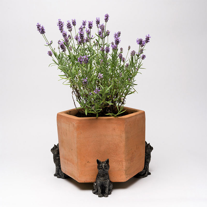 楽天市場】直輸入 3個セット 英国（イギリス）製 テラコッタ【ライオン