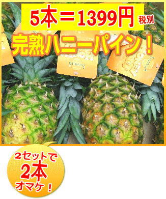 楽天市場 2セットで2本おまけ お待ちいただくこともございます 完熟ハニーパイン 5本入り フィリピン産 通常送料別途クール便 2円申し受けます ワールドフルーツカート ギフト