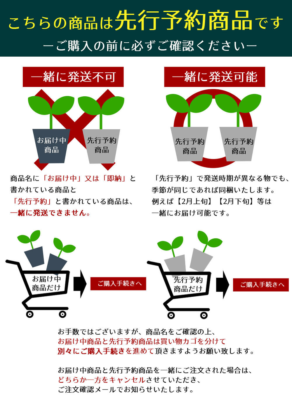 楽天市場 花苗 秋 黒葉ビオラ ラブラドリカ 1鉢 3 3 5号 お届け10月上旬 秋苗先行予約 ビオラ 苗 花苗 Viola Labradorica 秋 冬 耐寒性 宿根草 青花 草丈低 イングリッシュガーデン グランドカバー カラーリーフ 鉢植え 庭植え 寄せ植え 花壇 黒葉すみれ スミレ