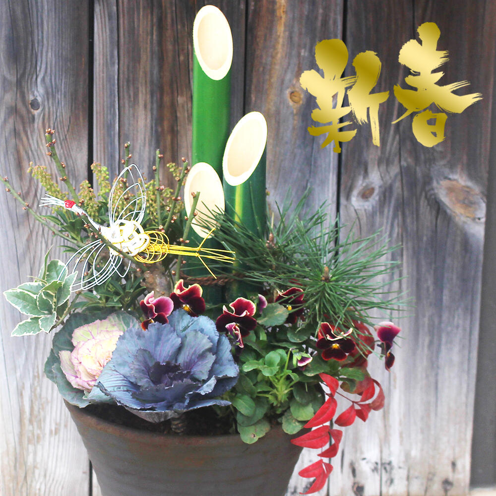 ◇金芽ツゲの木◇トピアリー◇ハート仕立て◇ 楽天市場】ギフト 木