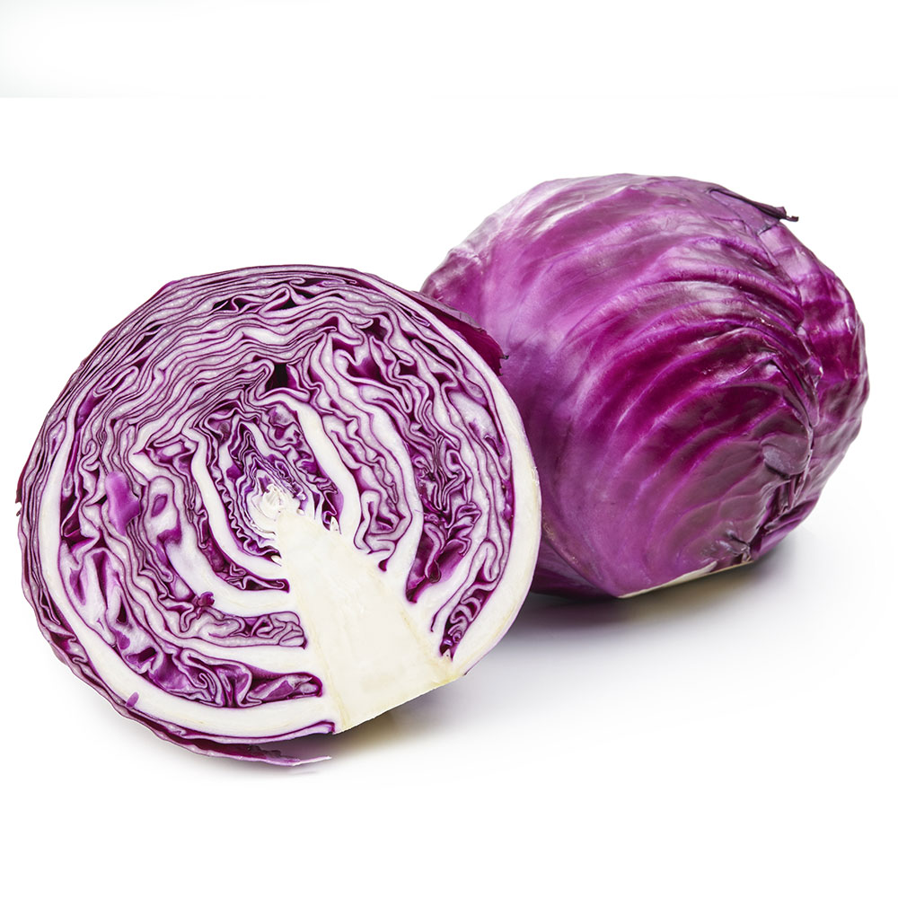 【楽天市場】野菜苗 紫キャベツ ルビーボール 5ポットセット 3号【お届け中】Cabbage 赤キャベツ レッドキャベツ 野菜 アブラナ科
