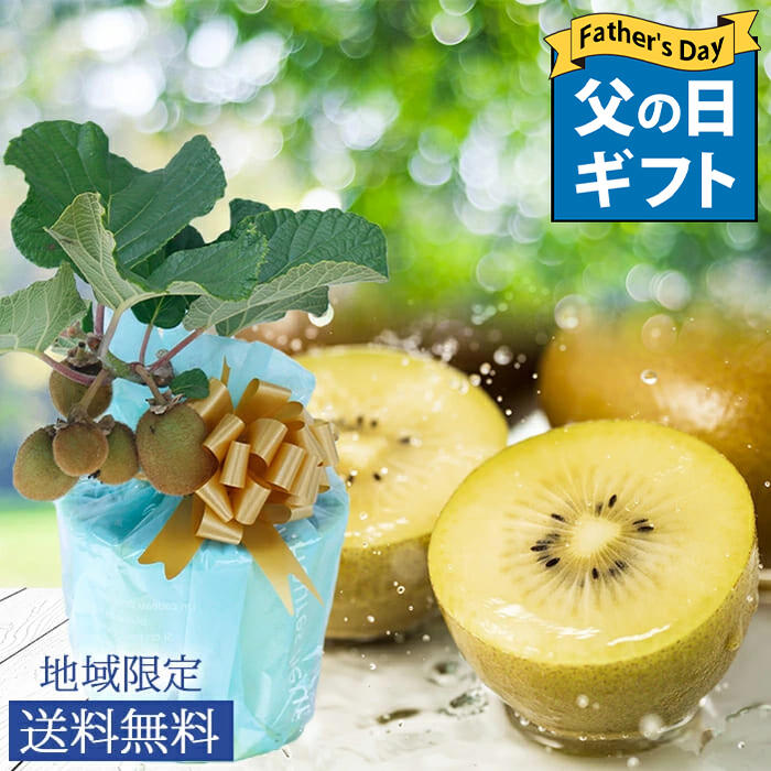 実付き来年も！再来年も！収穫が楽しめる雌木・雄木2株セット 育てる！見る！食べる！楽しみ