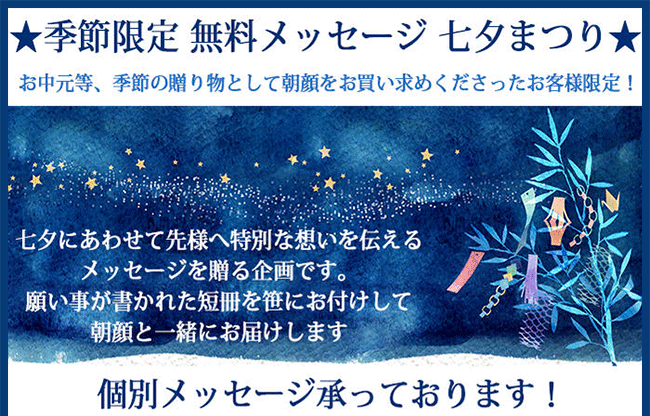 楽天市場 当日発送 ご注文は当日正午迄 お中元 ギフト 鉢植え 夕顔 白花 6号 1鉢 花 順次発送 地域限定 送料無料 グリーンカーテン 鉢花 御中元 花 夏 退職 誕生日 プレゼント 父 母 祖母 祖父 フラワーギフト サマーギフト お祝い 入谷 朝顔 あさがお ハッピーガーデン