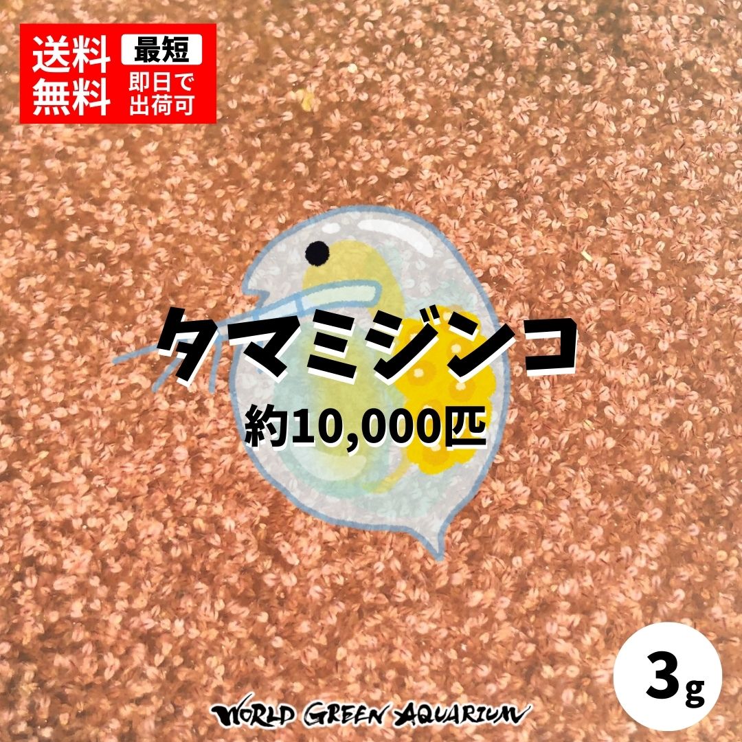 楽天市場】ブラックフライデーセール2023☆11/17 21時～12/3迄限定