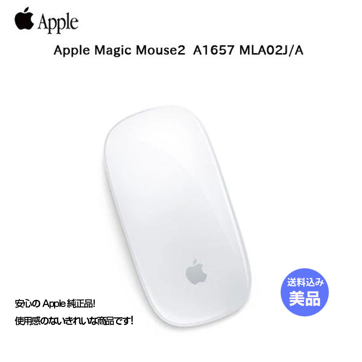 マウス・トラックボール APPLE MAGIC MOUSE 2 Apple magic mouse 2 純正 マウス・トラックボール