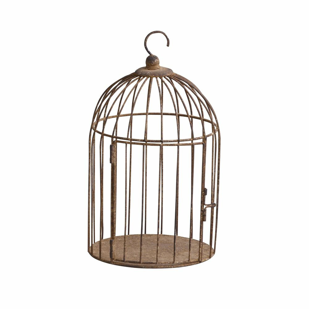 アンティーク ケージ ＊ ラウンド 4538996583390.jpg