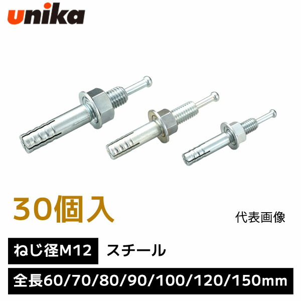 楽天市場】ユニカ unika 芯棒打込み式アンカー ねじ径 M10 【1箱