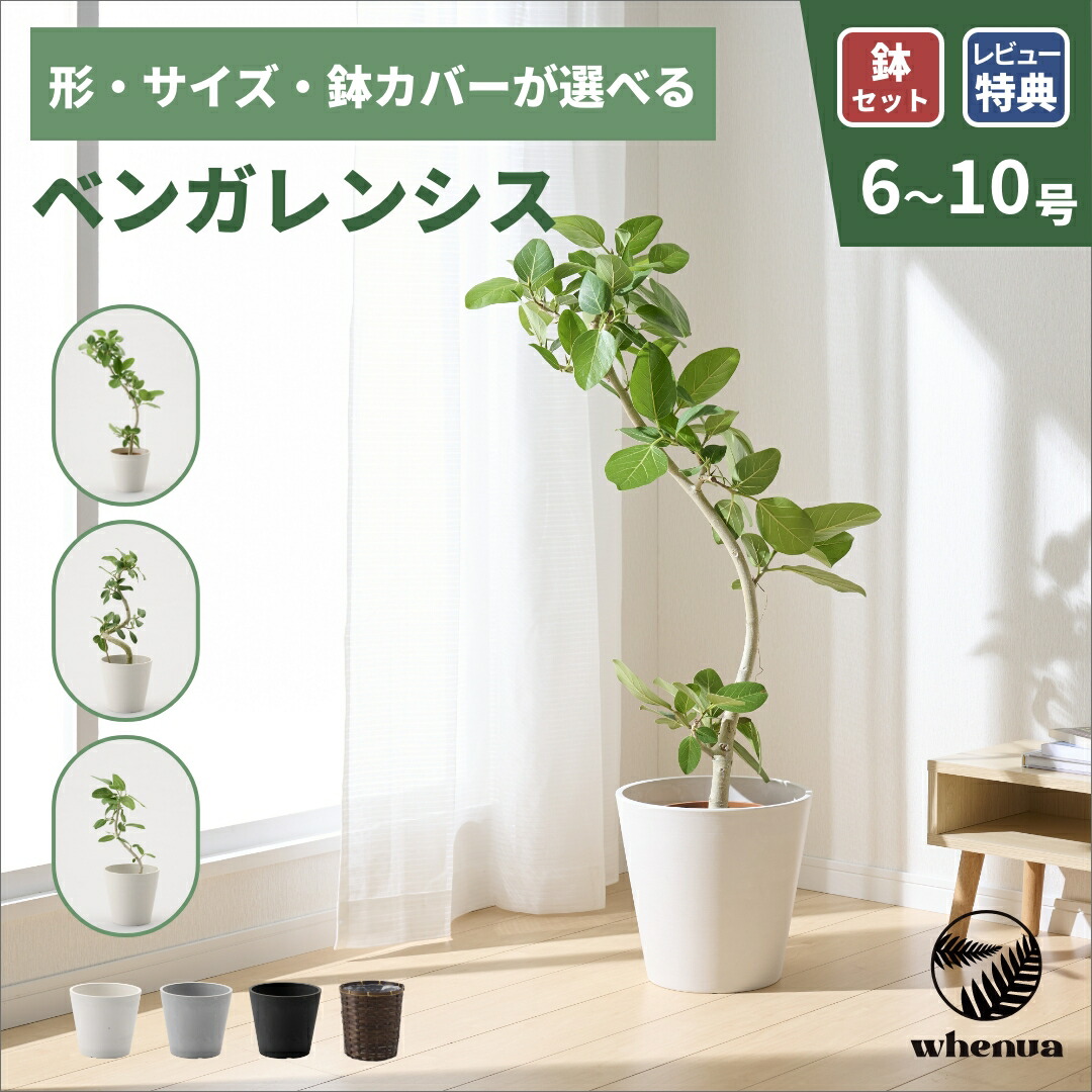百貨店大売り出し特設会場