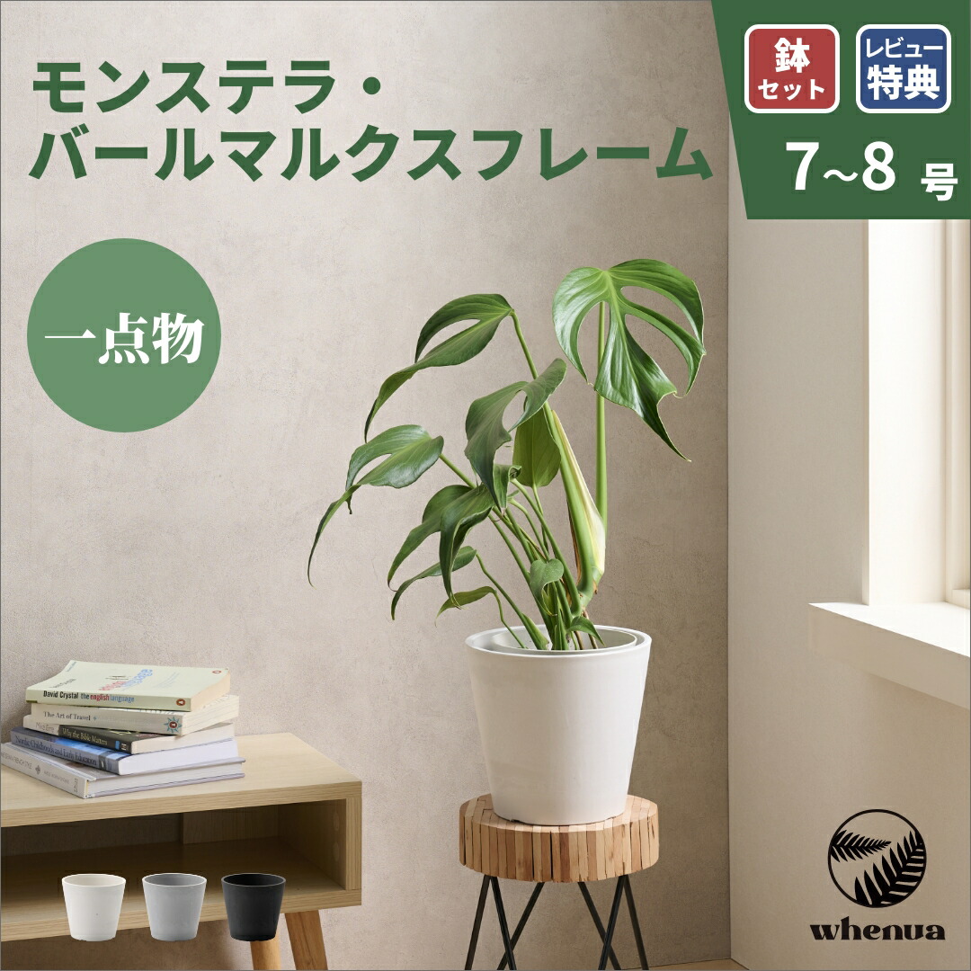 売れ筋  【MP57W1RLJZC】 限定デザイン