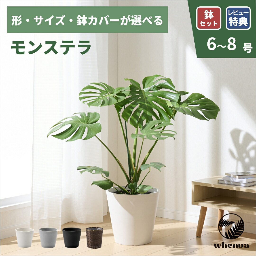 百貨店大売り出し特設会場
