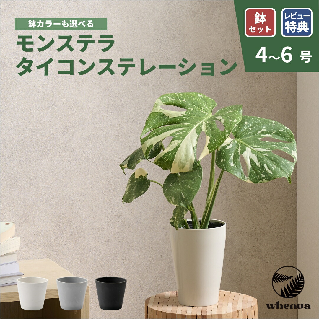 百貨店大売り出し特設会場