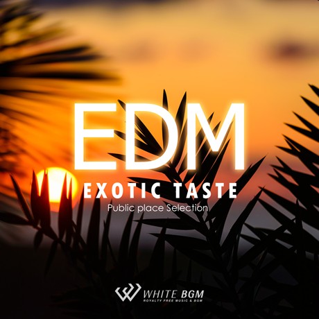 楽天市場 店内音楽cd Exotic Taste Edm 17曲 約64分 かっこいい音楽 フィットネスで使えるbgm 著作権フリー音楽 店内音楽 White Bgm 楽天市場店