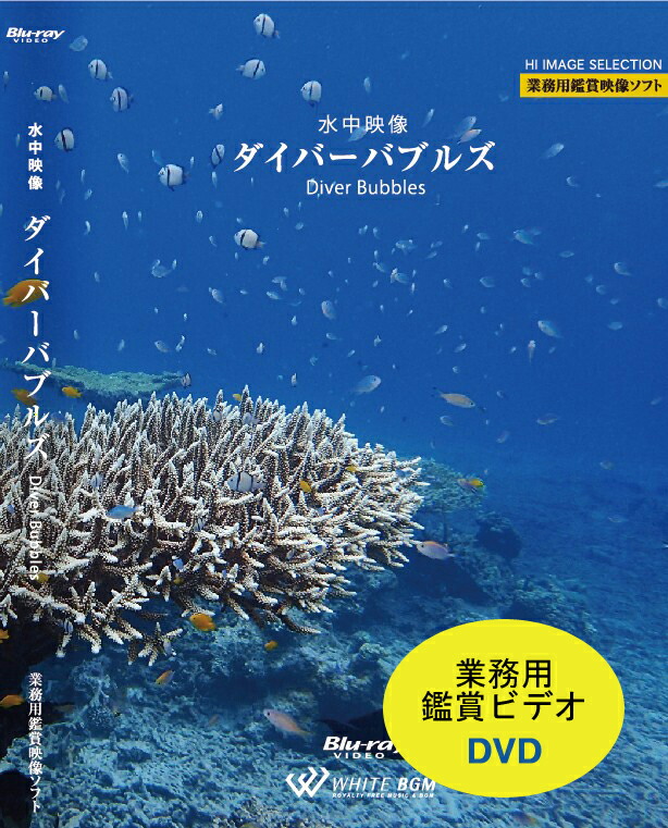 楽天市場 Dvd 業務用ヒーリングビデオ 水中映像 ダイバーバブルズ ハイビジョン 40分 リラックス音楽と動画 店舗bgmやイベントに 著作権フリー音楽 店内音楽 White Bgm 楽天市場店