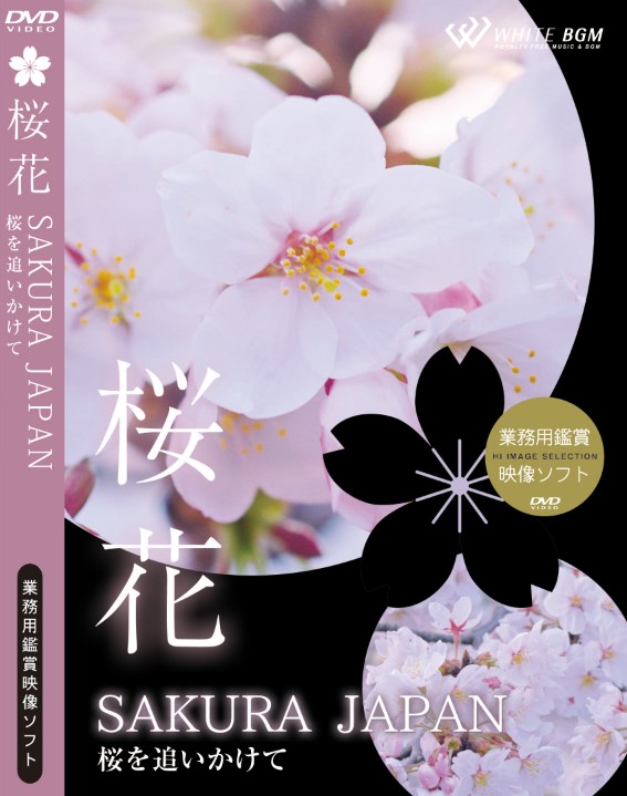 即発送可能 4k撮影 Dvd 業務用ヒーリングビデオ 桜花 Sakura Japan 桜を追いかけて 24分 リラックス音楽と動画 店舗bgmやイベントに 著作権フリー音楽 注目の Lexusoman Com