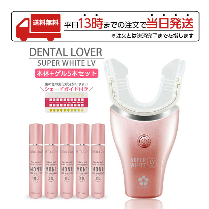 【楽天市場】【11/27 1:59迄 ポイント12倍】DENTALLOVER