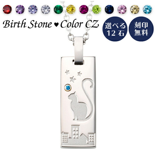 猫 メンズネックレス ステンレス 刻印可能 名入れ アレルギー対応 white clover 誕生月カラーキュービック シルバー 4SUP210SV クリスマス 記念日 誕生日 ホワイトデー プレゼント white clover カップル 7,040円