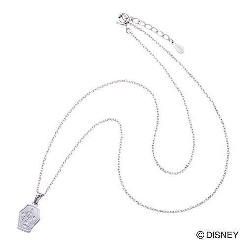 値引 塔の上のラプンツェル ラプンツェル メンズネックレス ディズニー プリンセス Disney ランタン ペンダント シルバー Di804rd White Clover カップル ペアリングのホワイトクローバー 爆買い Stellabarros Com Br