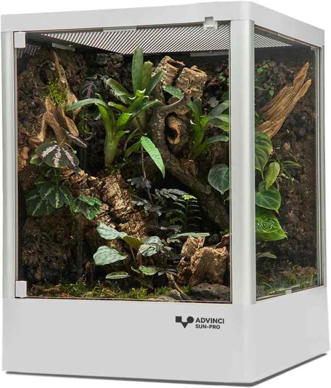 ADVINCI ハ虫類繁殖伏せ籠 30×30×40珊 36L 強化因子硝子完膚なきまで保護すること 持ってくる打ちこわれる押しとどめる荷造り 精神的な統合式 ダブル鍵を掛ける メッシュ風通し 耐衝撃軽銀ひな形 今めかしいひな形
