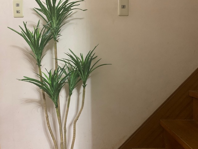 貨物輸送無料 観葉植物 ユッカ 調度品緑 造花 玄関先役目 リビング Hotjobsafrica Org