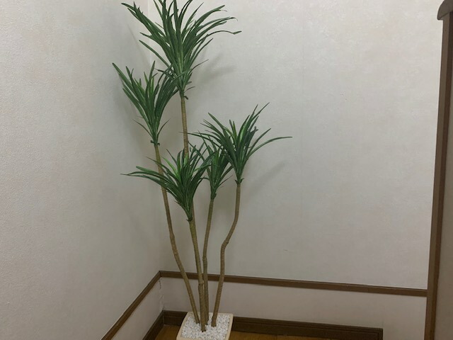 貨物輸送無料 観葉植物 ユッカ 調度品緑 造花 玄関先役目 リビング Hotjobsafrica Org