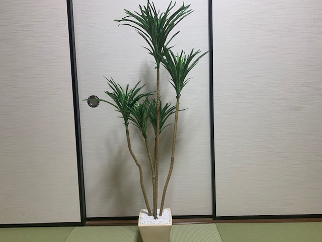 貨物輸送無料 観葉植物 ユッカ 調度品緑 造花 玄関先役目 リビング Hotjobsafrica Org